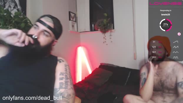 dead_bull  26-05-2023