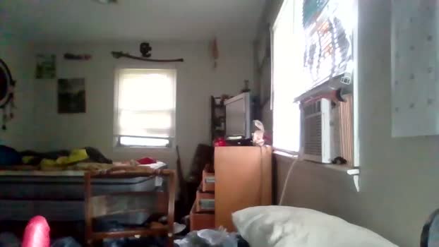 liam_gordineer  07-06-2023