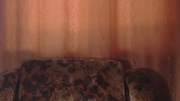 porn88s  09-06-2023