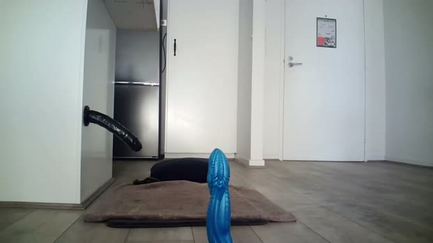 fitfella  10-06-2023