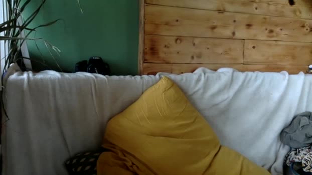 coconanacam  12-06-2023