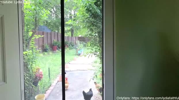 cuntytrannylydia  13-06-2023