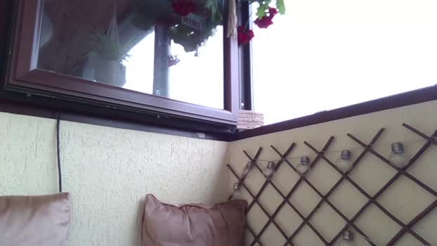 roberto_twink1  13-06-2023