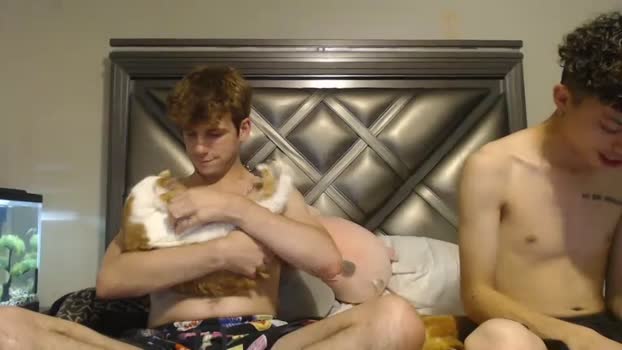 gayndepressed  19-06-2023