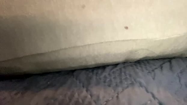 brokedaddyg  10-07-2023