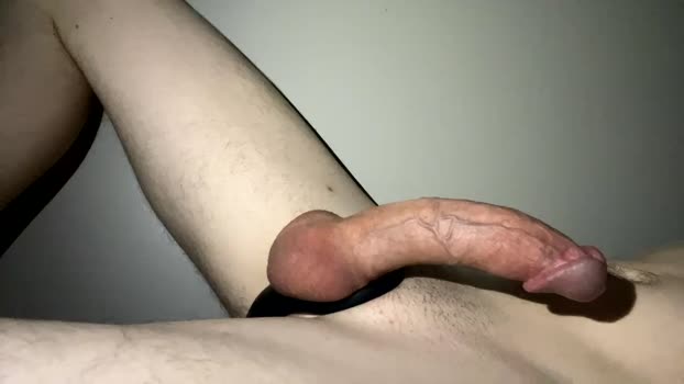 joe_cock_  15-07-2023