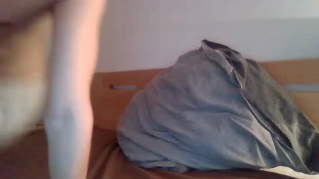 bunnycash  28-07-2023