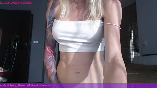 spicy_meow  29-07-2023