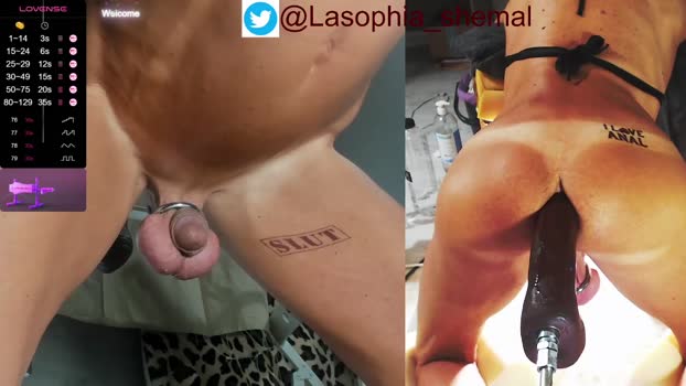 lasophia  16-08-2023