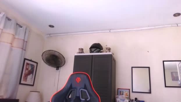 xdreamangel  07-09-2023