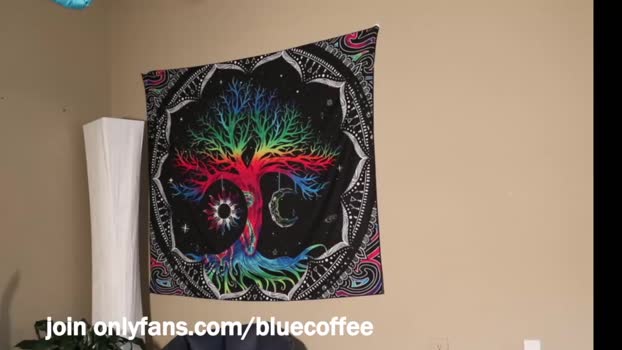 bluecoffee  25-09-2023