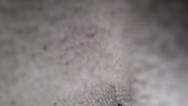 chrisbonewhite  01-10-2023