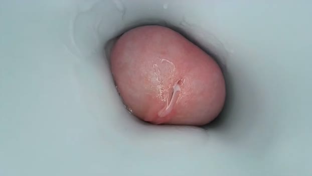 jeffrodgerschaturbat  09-10-2023