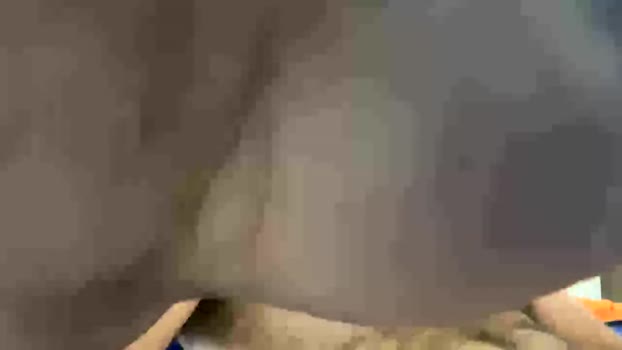 loneranger696990