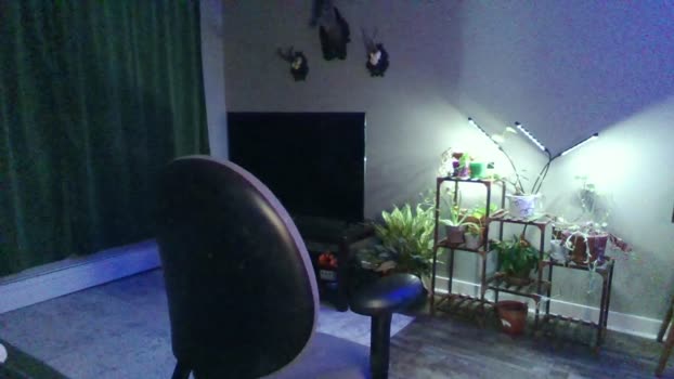 ella_ecstasy  07-11-2023