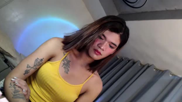 katykiat  15-11-2023