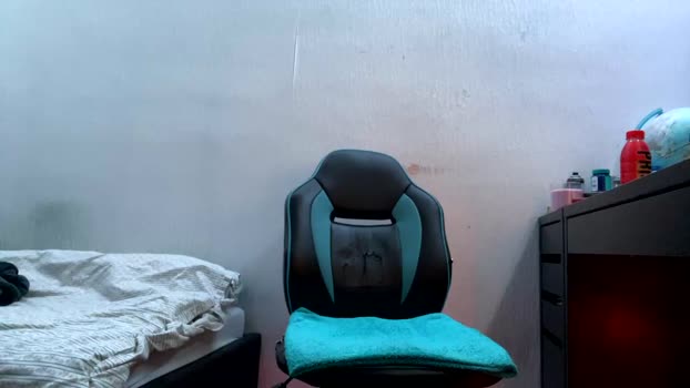 whitezebra699  21-11-2023