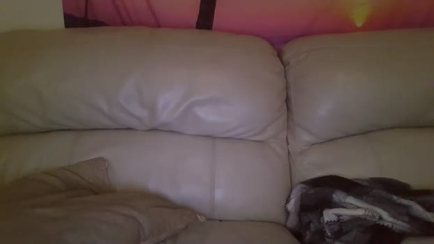 bigdicktrannynicole oral Webcam SHOW @ Chaturbate 25-11-2023 bigdicktrannynicole oral Webcam SHOW @ Chaturbate 25-11-2023