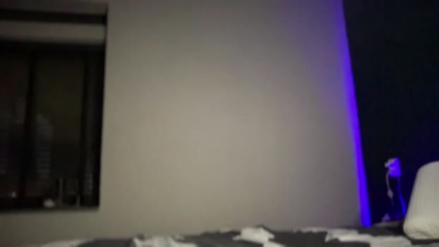 angelica_pornstar  28-11-2023