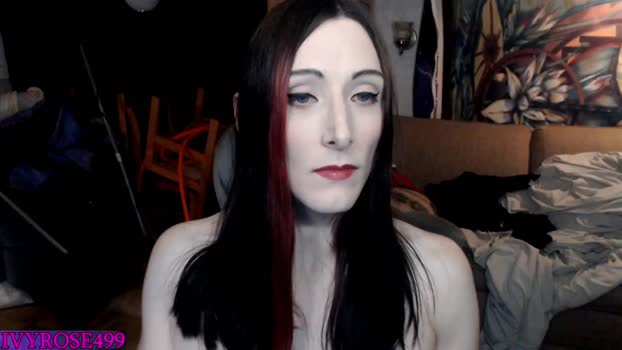 ivyrose499 13-12-2023