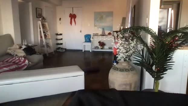 bigjoed233 16-12-2023 - HotRecs