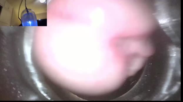 xoxowtf 26-12-2023
