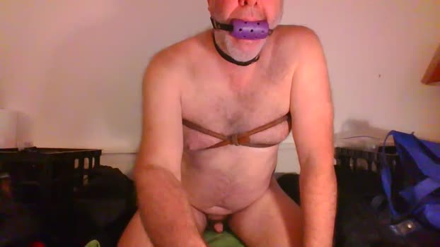 malebdsmslut 31-12-2023