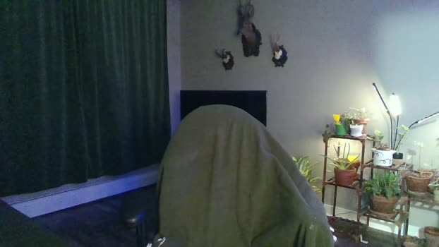 ella_ecstasy 16-01-2024