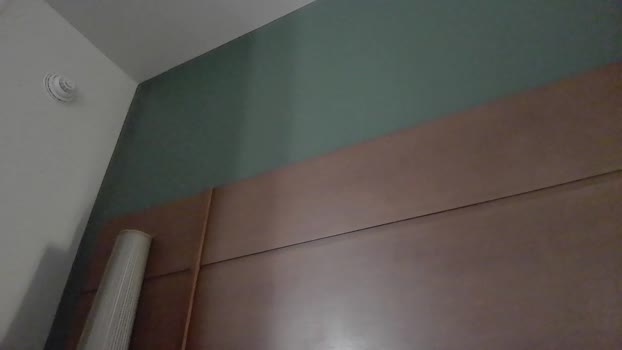 ineedacamaro12 18-01-2024