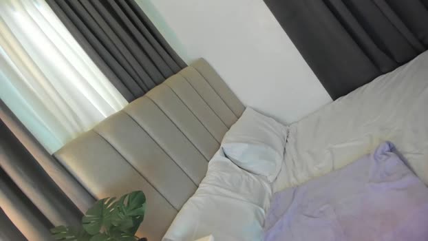 wildkittytrans 22-01-2024