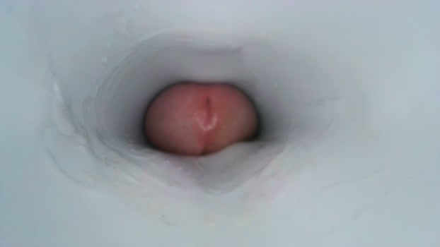 jeffrodgerschaturbat 22-01-2024