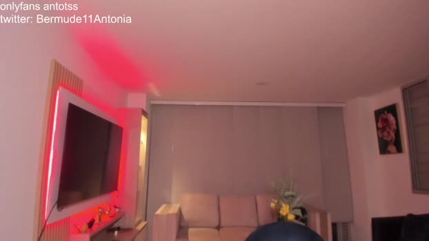 antotss 28-01-2024