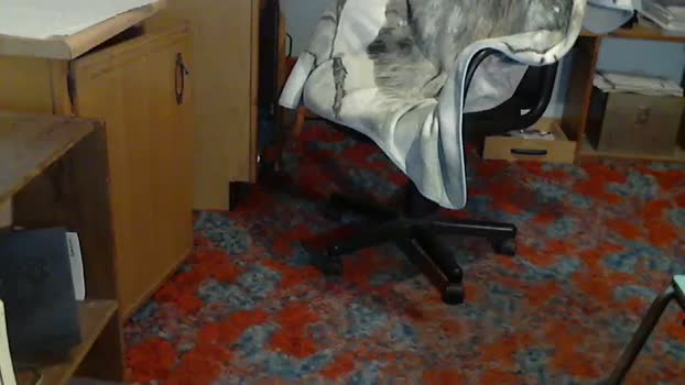 anniegurl 04-02-2024