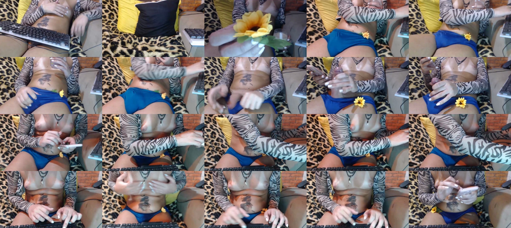 renatinha_trans spanking Webcam SHOW @ 10-02-2024