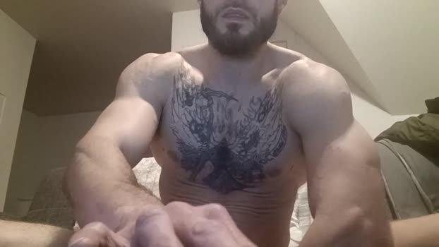 bebad1594 19-02-2024