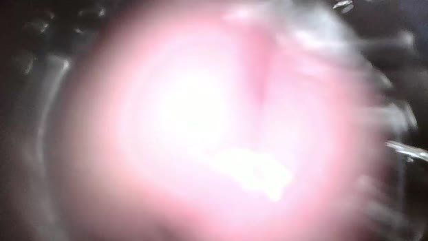 xoxowtf 26-02-2024
