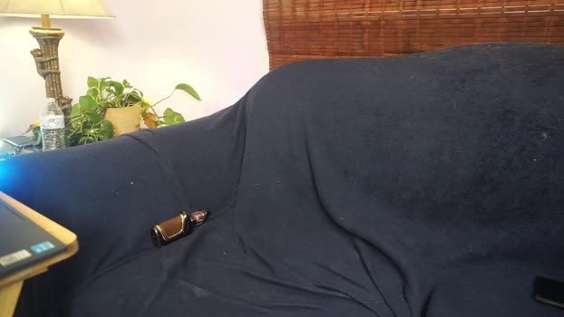 scott_bleu 07-03-2024