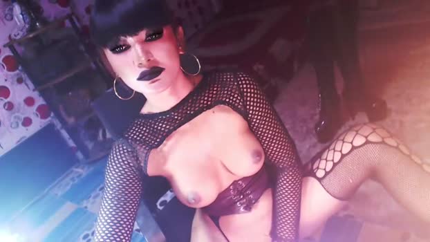 _hailyourqueenx Chaturbate 11-03-2024 Trans