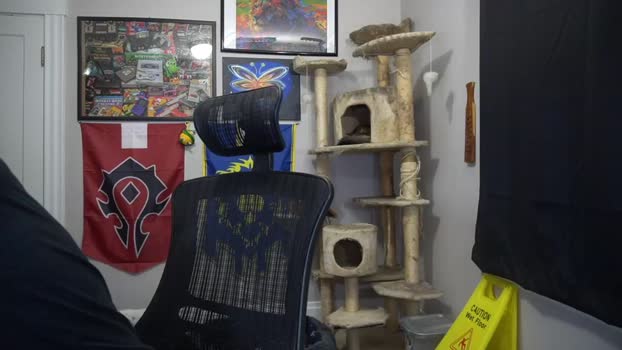 sydaffect Chaturbate 12-03-2024 Males