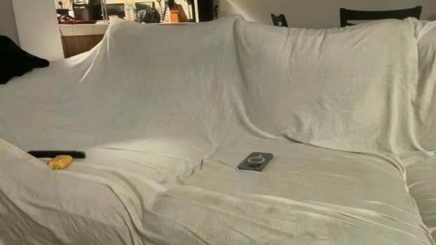andylynnpayne Chaturbate 15-03-2024 Trans