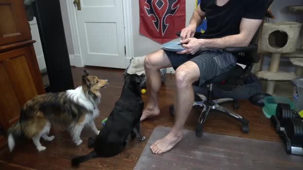 sydaffect Chaturbate 23-03-2024 Males