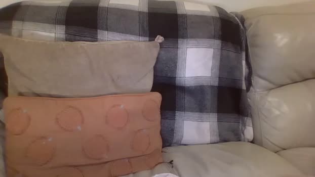 bigdicktrannynicole Chaturbate 04-04-2024 Trans