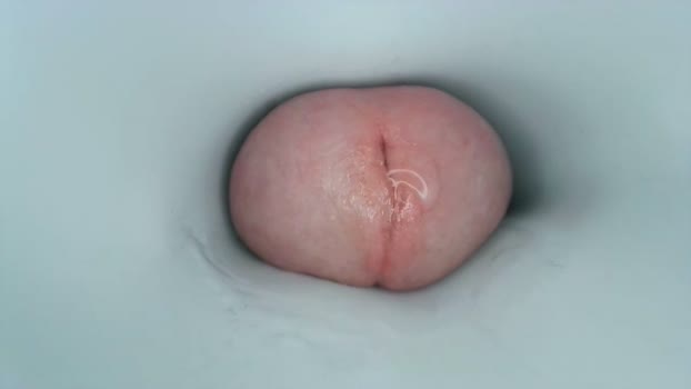 jeffrodgerschaturbat Chaturbate 07-04-2024 Males