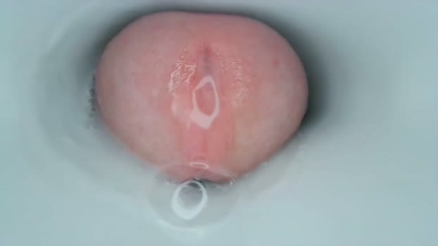 jeffrodgerschaturbat Chaturbate 09-04-2024 Males