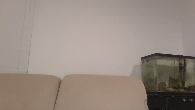 acs995 Chaturbate 10-04-2024 Trans