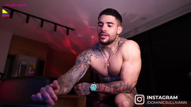 dominic_sullivan1 Chaturbate 20-04-2024 Males