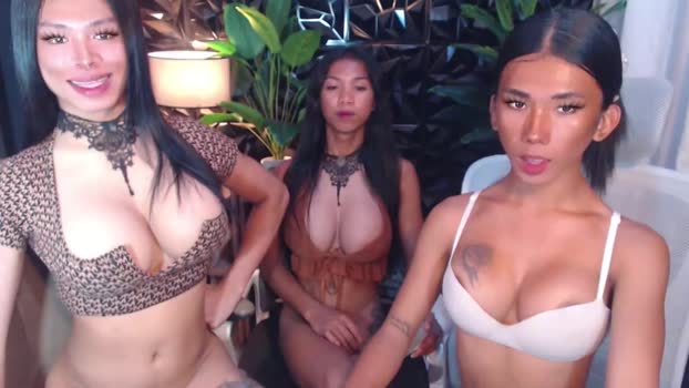 transpornidol Chaturbate 22-04-2024 Trans