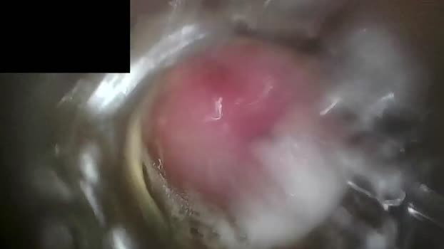 xoxowtf Chaturbate 29-04-2024 Males
