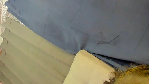 tsuncutjelay Chaturbate 05-05-2024 Trans