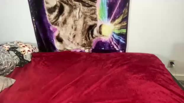 lacy8vankort Chaturbate 08-05-2024 Trans